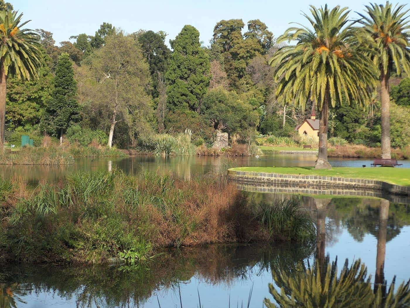 The lake at Royal Botanic Gardens Melbourne
